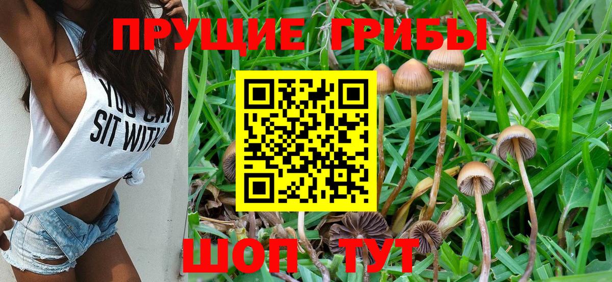 Галлюциногенные грибы мухоморы  Вход с VPN  Галлюциногенные грибы Cubensis  Хабаровск 